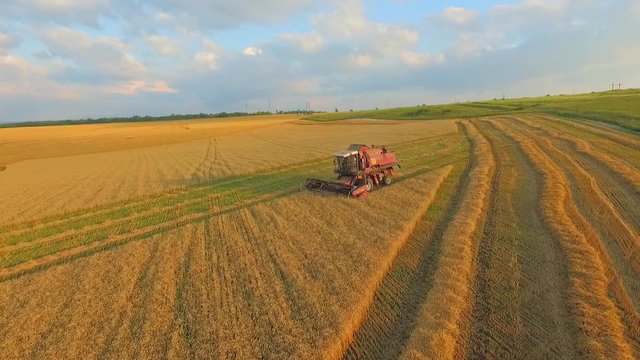 AERIAL VIEW. Cereal Harvest Close By a Farm