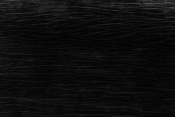 Black Wood Texture Background.
