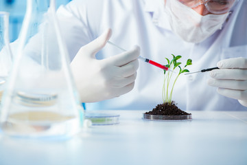 Biotechnology concept with scientist in lab