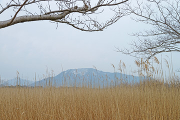 角田山