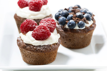 chocolate cupcakes with fresh berries, closeup