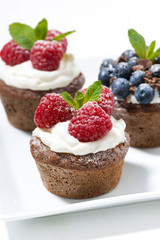 chocolate cupcakes with fresh berries, vertical