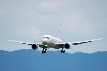 Boeing 767-300 landing - obrazy, fototapety, plakaty