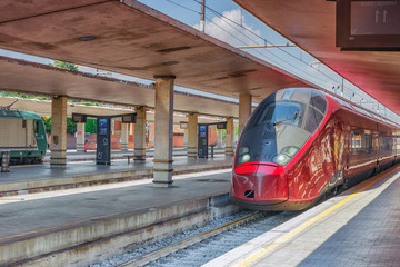 Modern high-speed passenger train stand on the Florence  railways station-Firenze Santa Maria Novella. Italy.