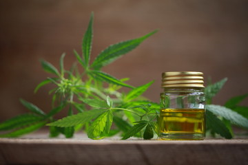 A cannabis leaf and a bottle of hemp oil on a wooden table