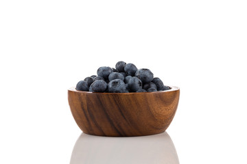 blueberries isolated close up