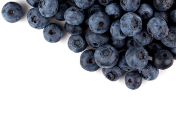 blueberries isolated close up