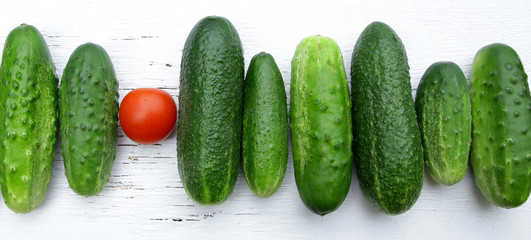 red tomato among green cucumbers saying standing out from the crowd