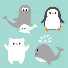 Arctic polar animal icon set. White bear, penguin bird, Seal pup baby harp sea lion whale. Kids education cards. Cute cartoon character. Blue background Isolated. Flat design.