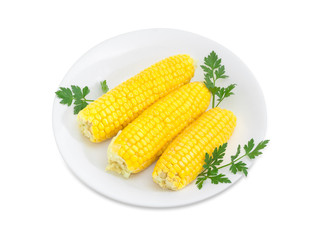 Boiled ears of sweet corn on a white dish