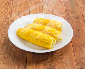 Freshly brewed sweet corn on white dish