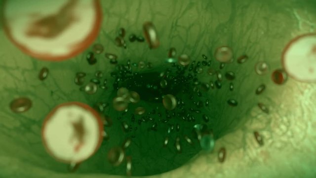 Blood cells green vein artery bloodcells science fiction alien biology zombie 4k
