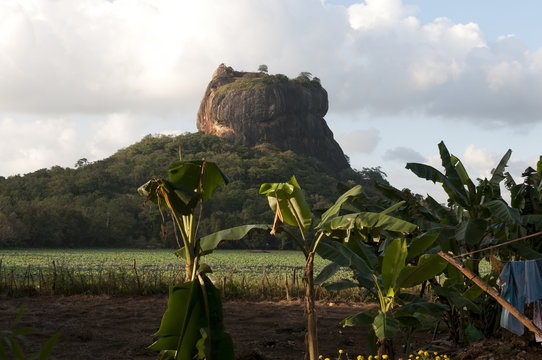 Sigiriya rock and fortress in Sri Lanka