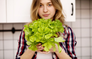 Picture of green lettuce