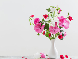 mallow in vase on white background
