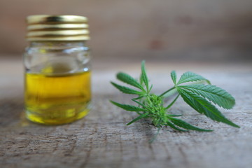 A cannabis leaf and a bottle of hemp oil on a wooden table