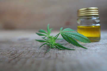 A cannabis leaf and a bottle of hemp oil on a wooden table