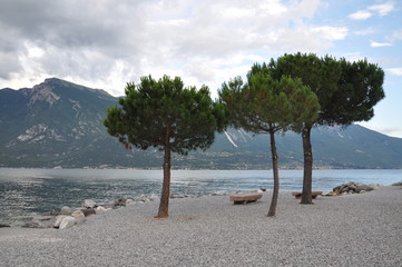 Trees and stone bench in Limon, lakeshore of lake Garda