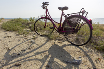 PINK BICYCLE SEASIDE