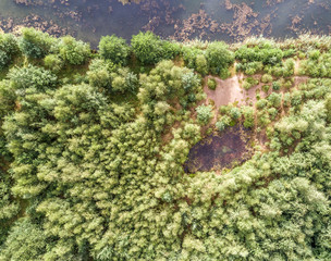 Small pond in the wood. Aerial photo with the drone