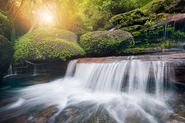 Fototapeta na wymiar Waterfall hidden in the tropical jungle