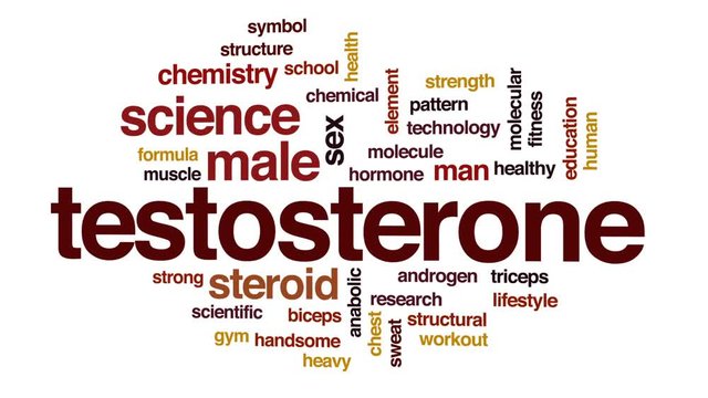 Testosterone animated word cloud, text design animation.