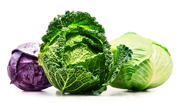 Three fresh organic cabbage heads isolated on white