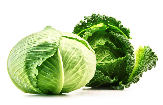 Two fresh organic cabbage heads isolated on white