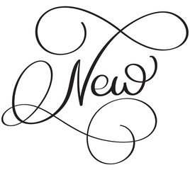 New word on white background. Hand drawn Calligraphy lettering Vector illustration EPS10