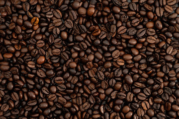 roasted coffee beans