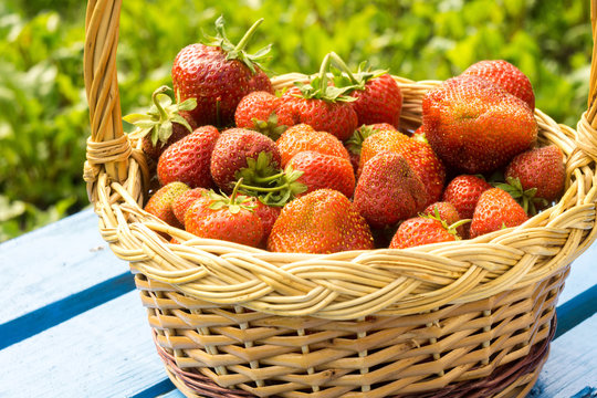 Strawberry in Basket on Grass
