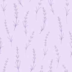 Seamless pattern of lavender flowers on a white background. Pattern with Lavender for fabric swatch. Vector illustration.