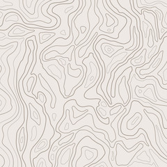 Topographic map lines, earth relief, contour background. Geographic grid, elevation map, vector abstract.