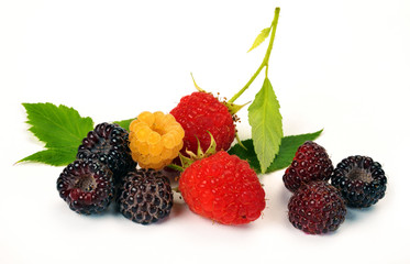 black yellow and red raspberries