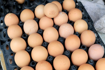Group of fresh eggs on egg black panel package from a chicken farm in the package retained to sell for cooking at the market.