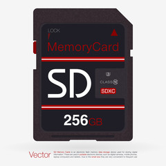 Top View SD Memory Card. Memory Chip Isolated