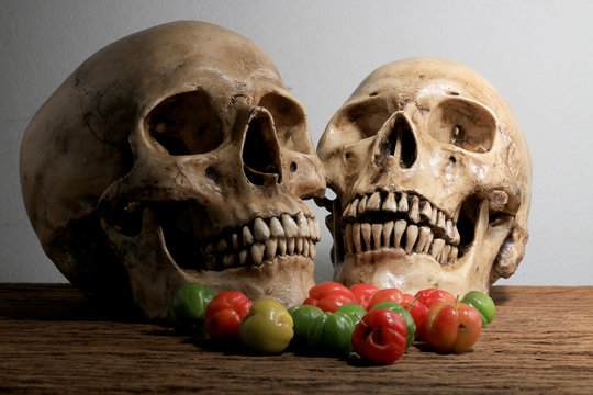 Still life photography with human skull and fresh Cherries at harvest time on wooden table with wall background.