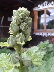 Podlaskie cuda © Digitalis
