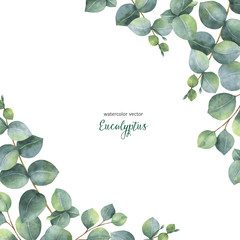 Watercolor vector green floral card with silver dollar eucalyptus leaves and branches isolated on white background. © ElenaMedvedeva