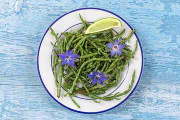 Samphire a coastal herb also known as sea beans glasswort pickleweed or Salicornia