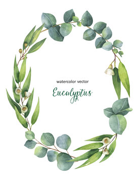 Watercolor vector oval wreath with green eucalyptus leaves and branches.