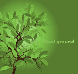 Decorative Green Tree Background