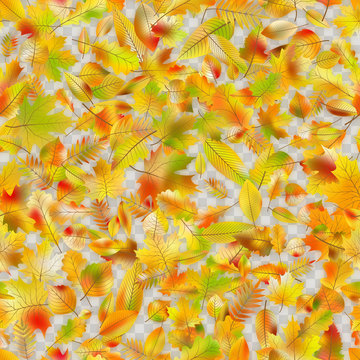 Autumnal seamless background. EPS 10 vector