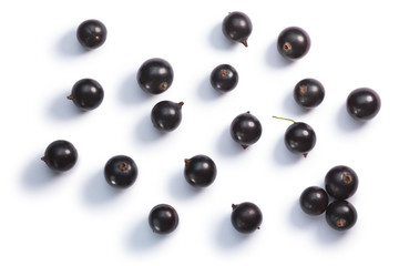 Blackcurrants Ribes nigrum, top view, paths