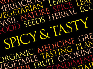 Spicy and tasty word cloud collage, food concept background