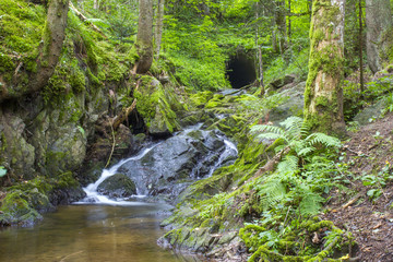 Lotenbach Gorge in Blach Forest, Germany