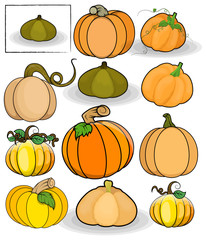 Pumpkins Vector Set