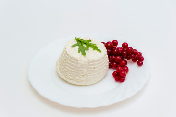 Tasty fresh cow Ricotta cheese