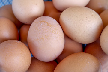 Boiled egg crack closeup