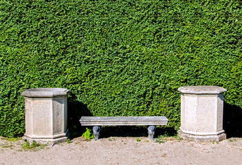 stone bench in the park with green hedgerow